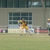 Chevalier College Student Plays Cricket for Australia