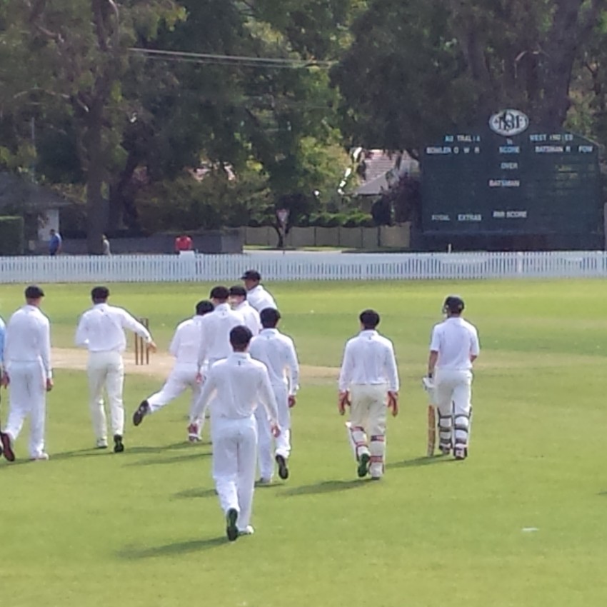 Rep Cricket 1 Rep Cricket 1