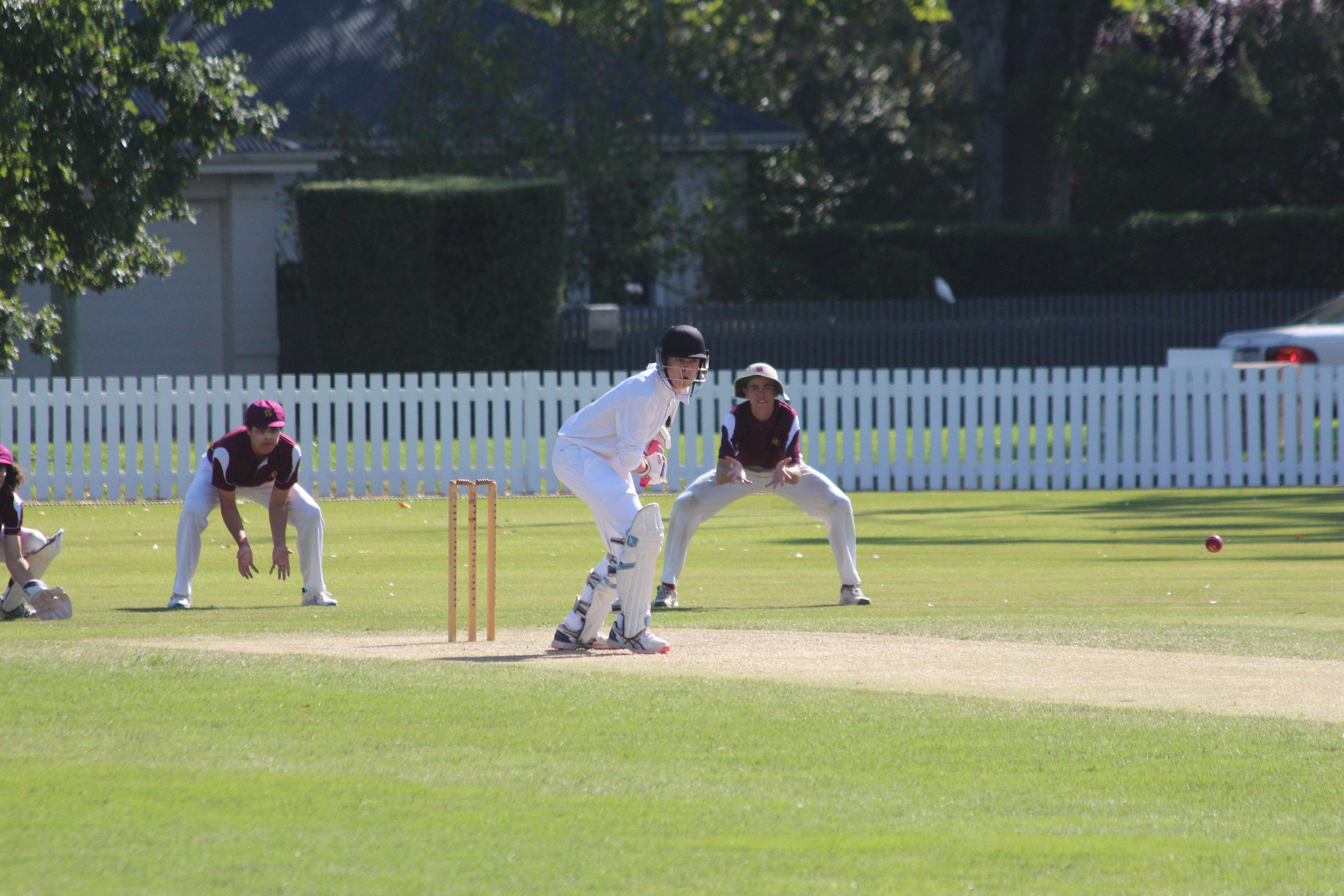 2020 Rep Cricket 3